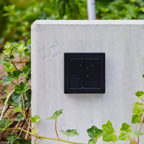 oor anders strelen Philips Hue Senic Gira Outdoor Switch - Smarthomesystems.be